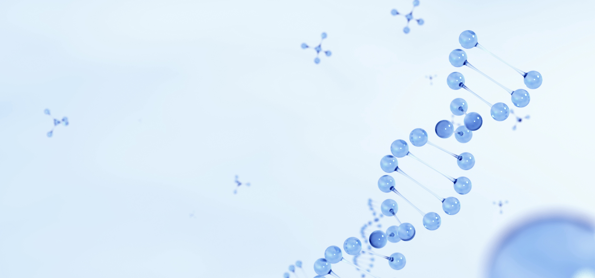 z6com×ðÁú¿-(Öйú)¹«Ë¾¹Ù·½ÍøÕ¾